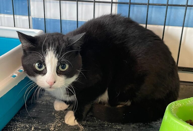 multimedia-foto82007-714-1