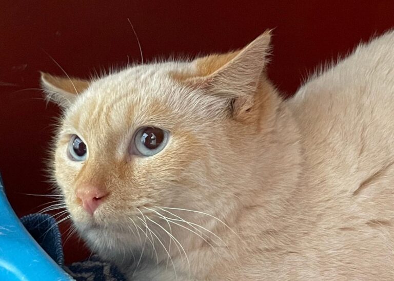 multimedia-foto82009-276-1