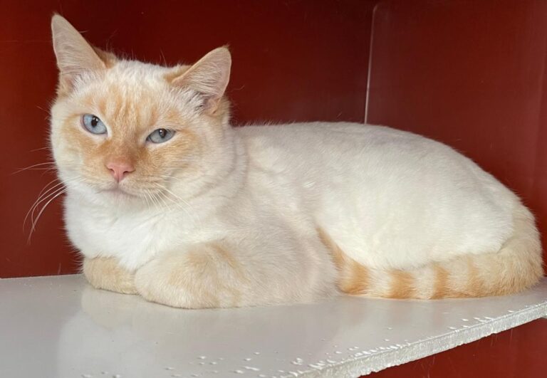 multimedia-foto82010-276-1