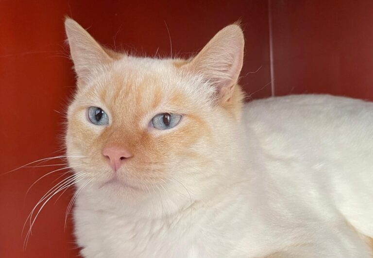 multimedia-foto82011-276-1