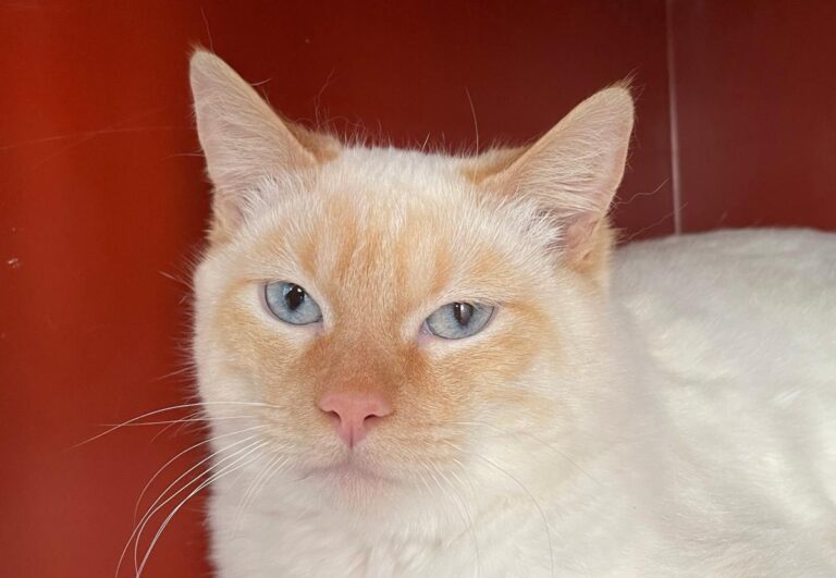 multimedia-foto82012-276-1