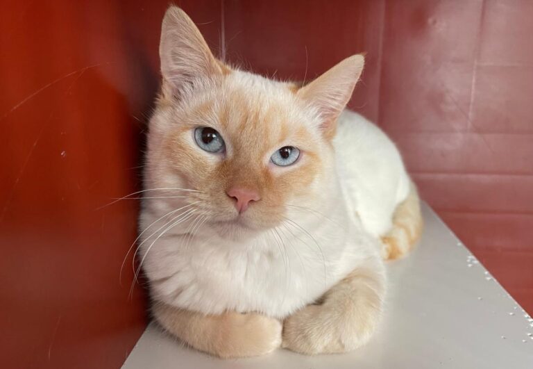 multimedia-foto82013-276-1