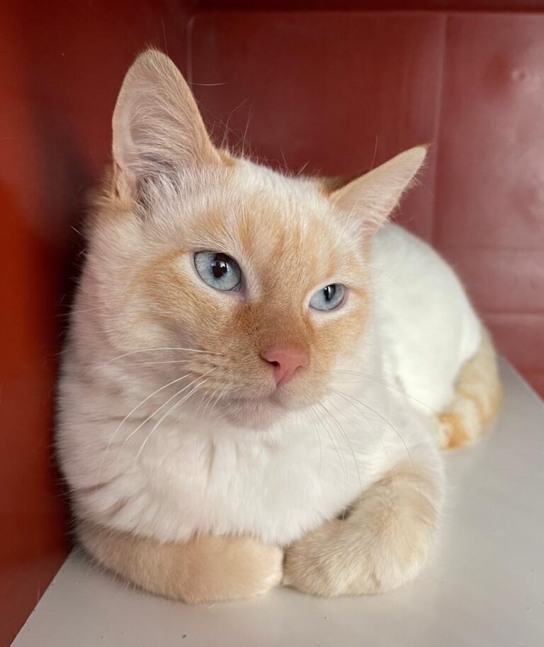 multimedia-foto82014-276-1