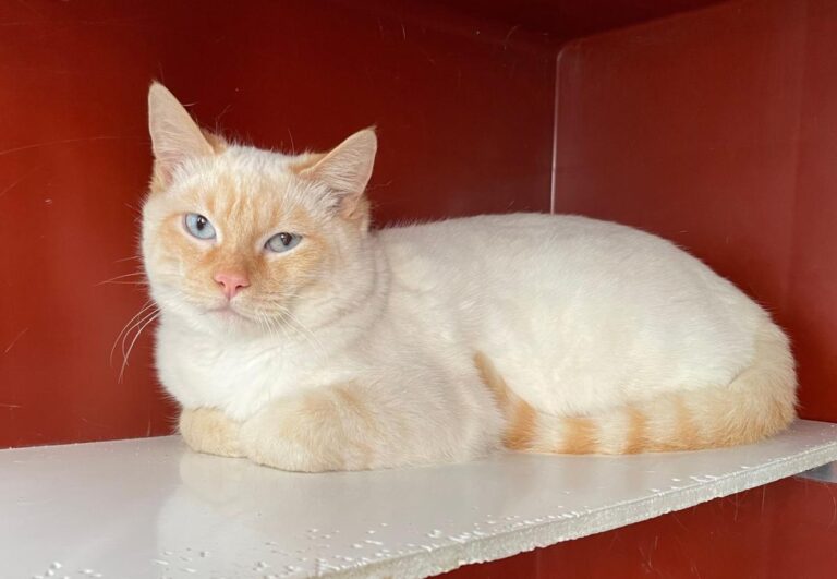 multimedia-foto82015-277-1