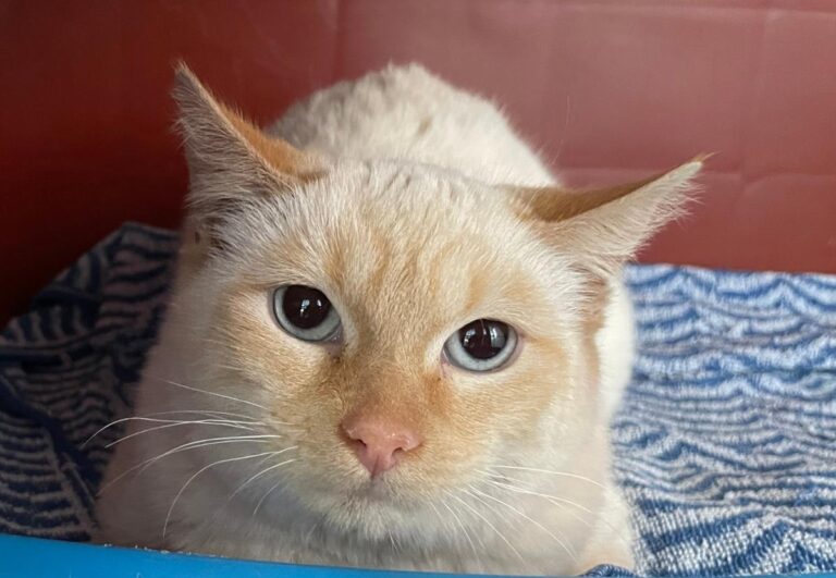 multimedia-foto82016-277-1