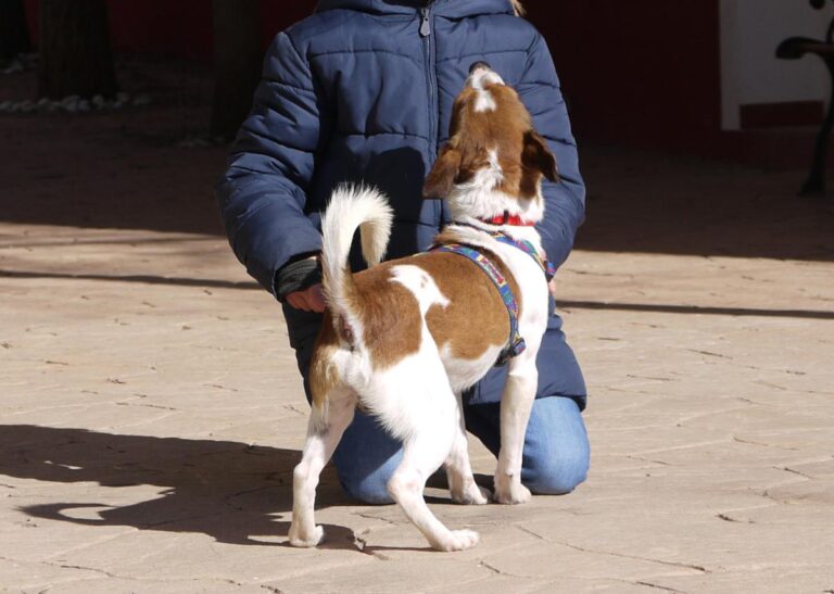 multimedia-foto82017-575-1