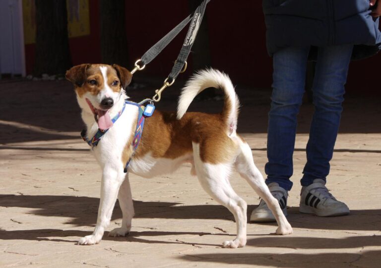 multimedia-foto82019-575-1