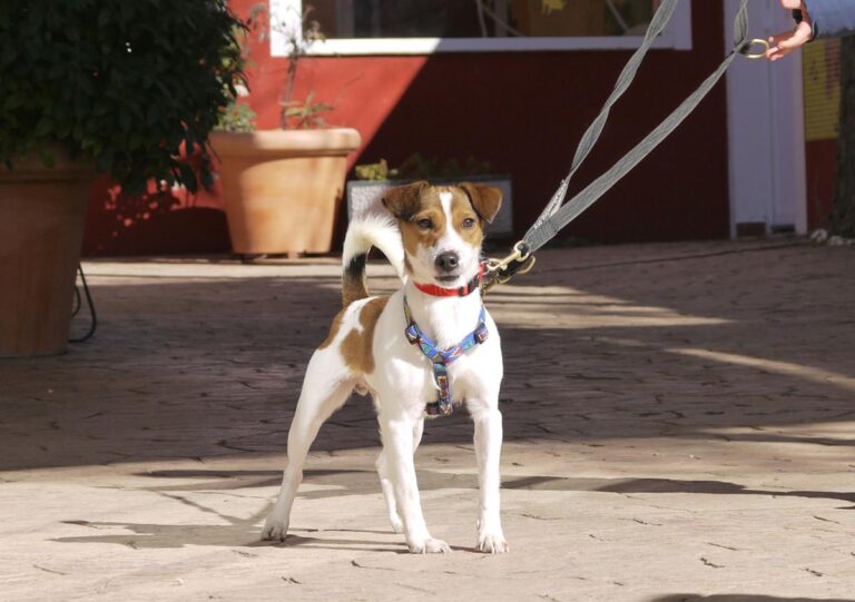 multimedia-foto82020-576-1