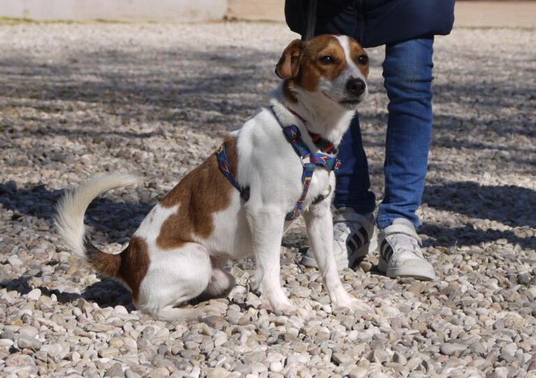 multimedia-foto82021-576-1