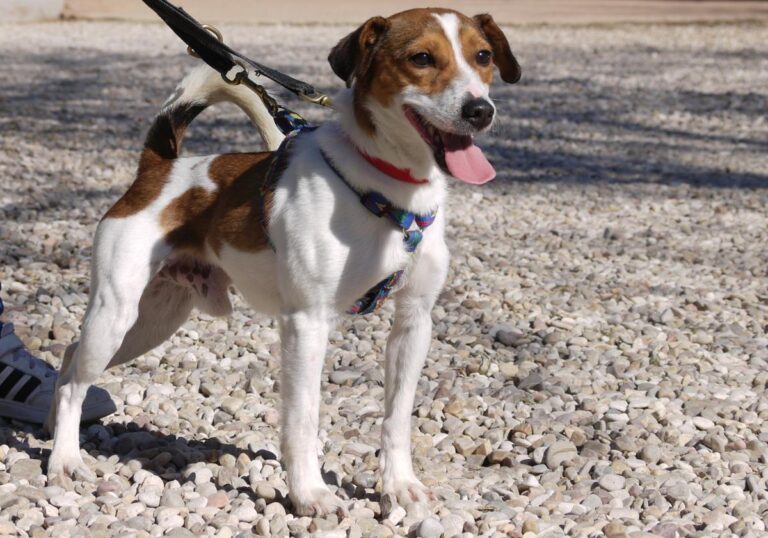 multimedia-foto82022-576-1