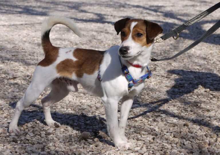 multimedia-foto82023-576-1