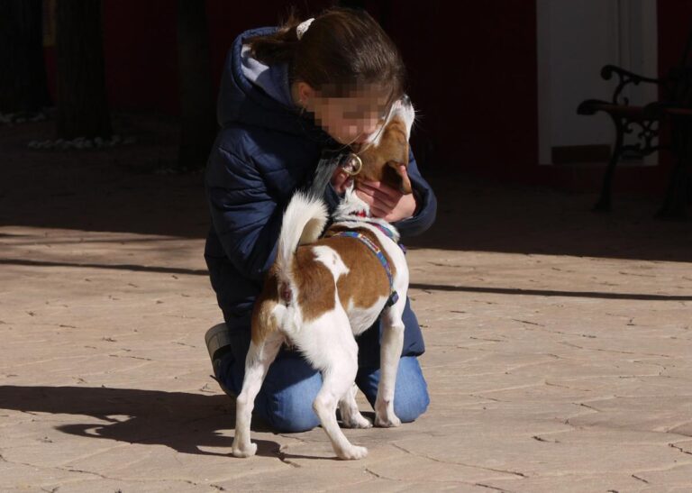 multimedia-foto82024-576-1