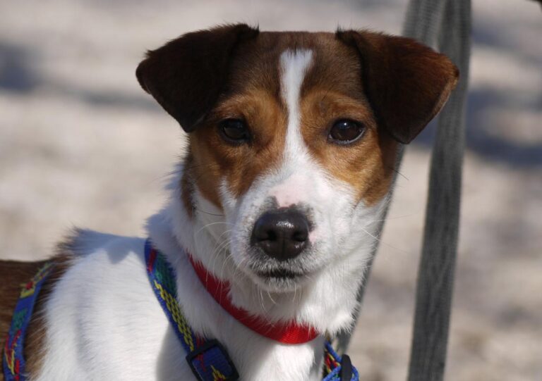 multimedia-foto82025-576-1