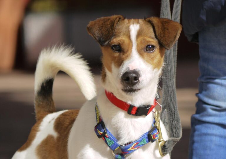 multimedia-foto82026-577-1