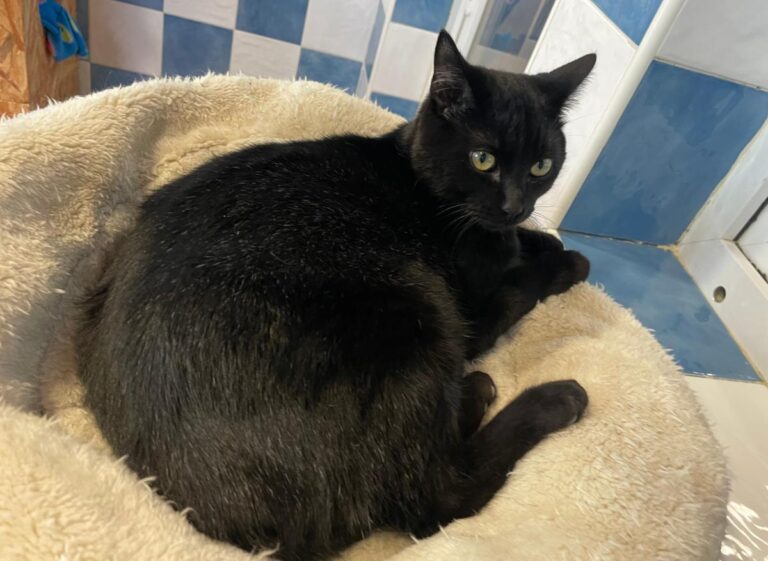 multimedia-foto82042-891-1