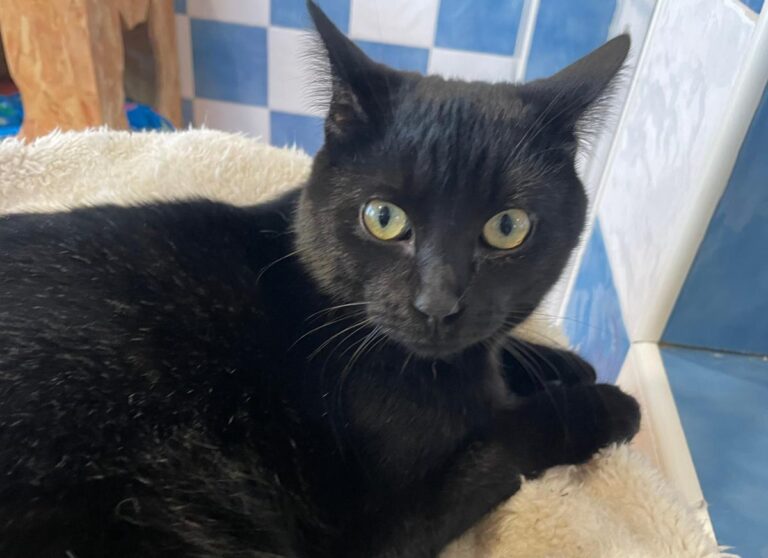 multimedia-foto82043-891-1