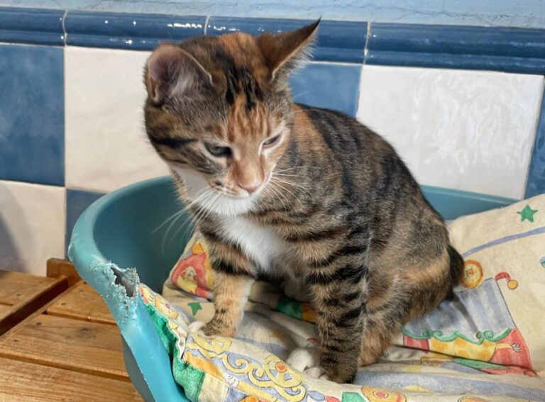 multimedia-foto82047-969-1