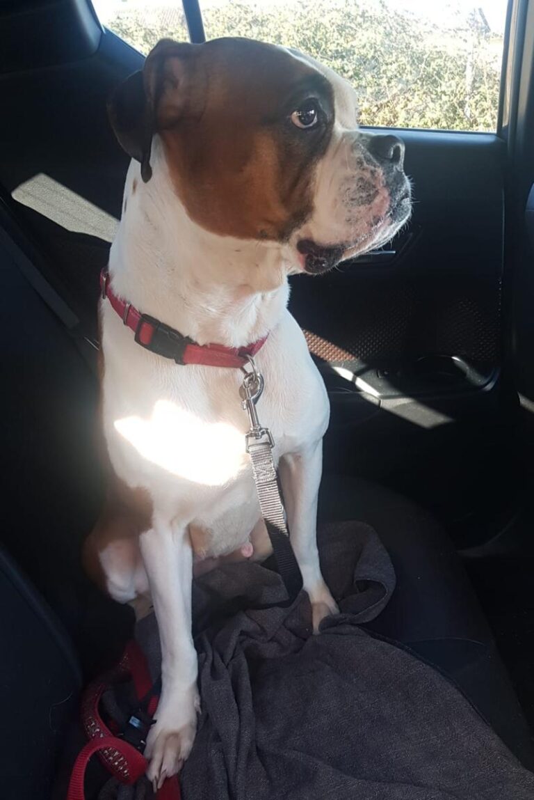 multimedia-foto82054-455-1