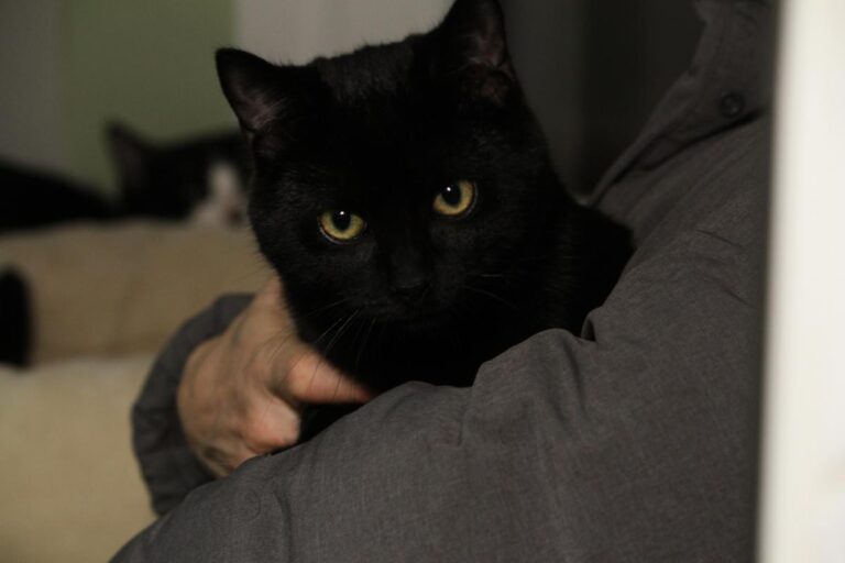 multimedia-foto82099-166-1