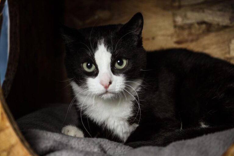 multimedia-foto82107-573-1