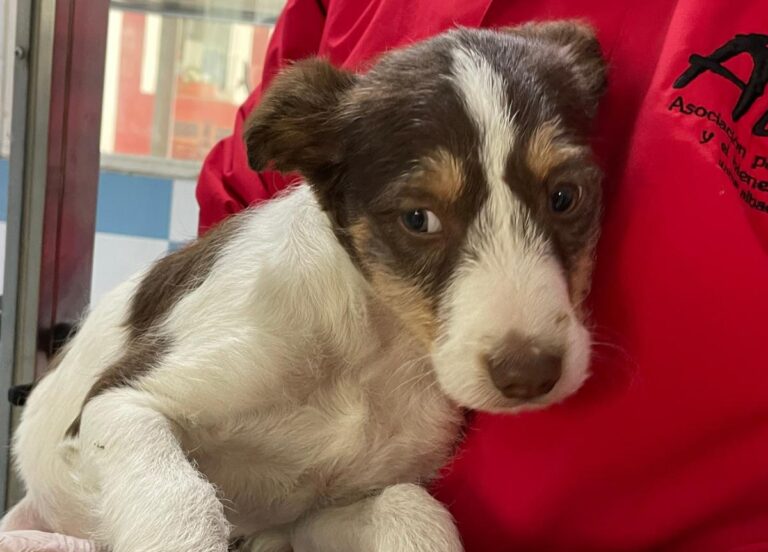 multimedia-foto82169-357-1