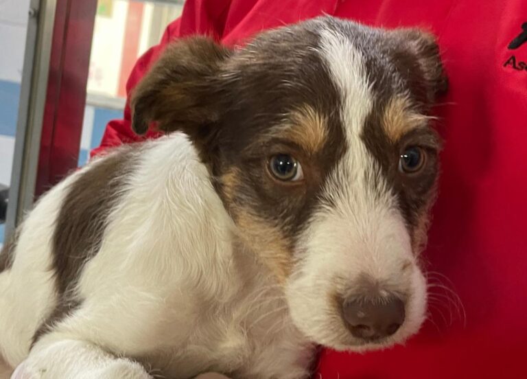 multimedia-foto82172-358-1