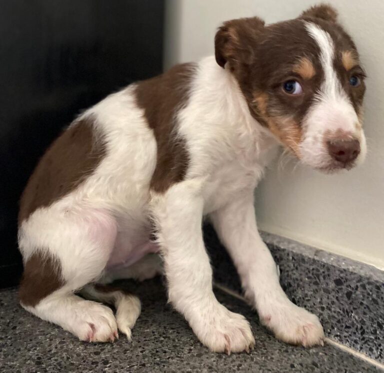 multimedia-foto82173-358-1