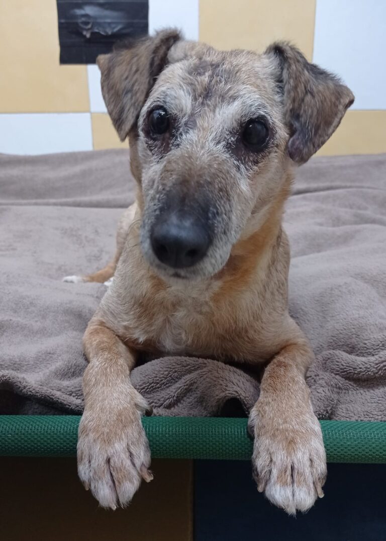 multimedia-foto82179-874-1