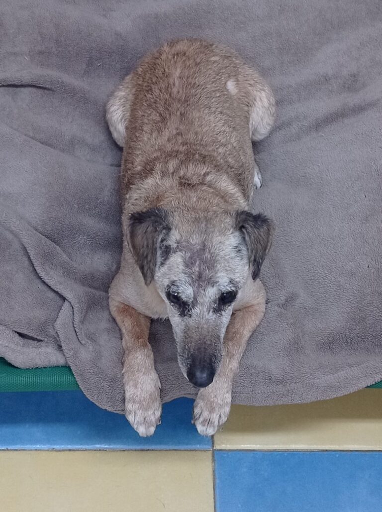 multimedia-foto82180-875-1