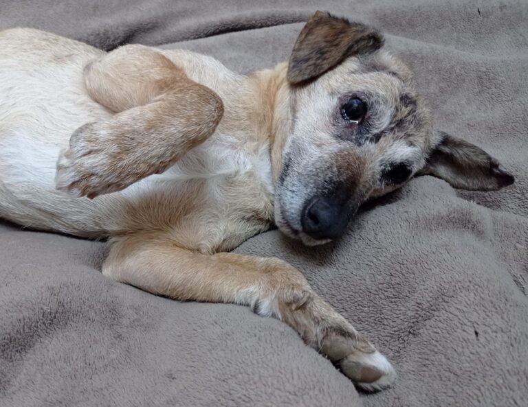 multimedia-foto82181-875-1