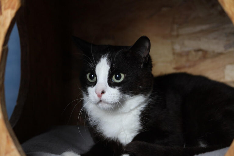 multimedia-foto82207-551-1