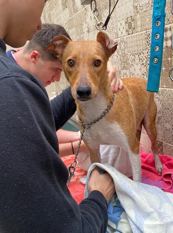 multimedia-foto82213-713-1