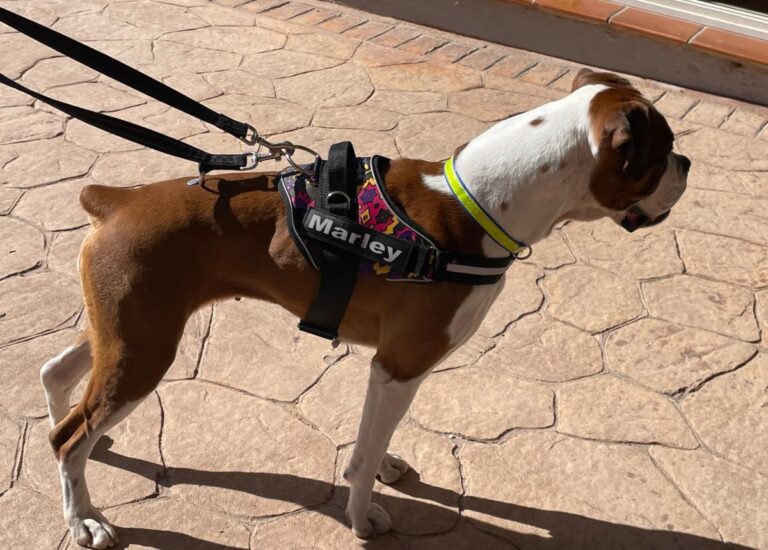 multimedia-foto82250-79-1