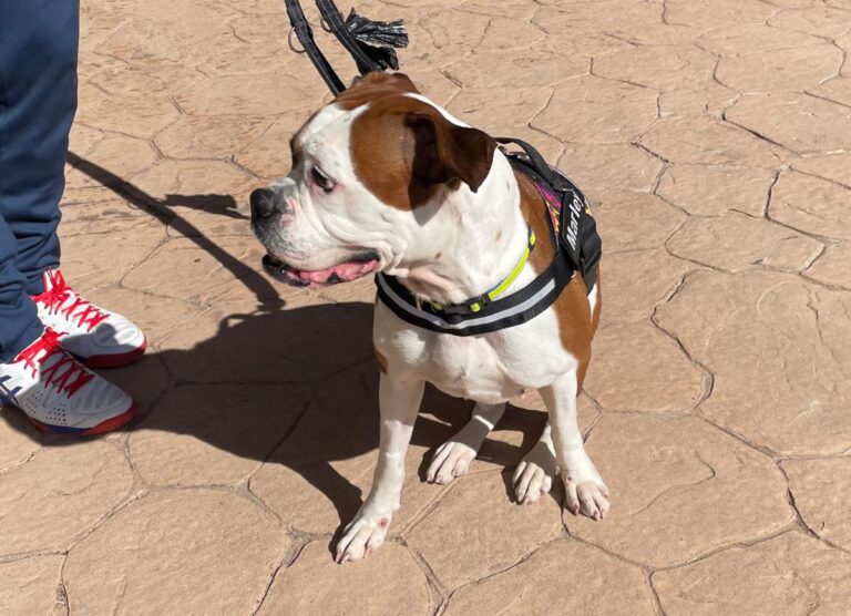 multimedia-foto82253-80-1