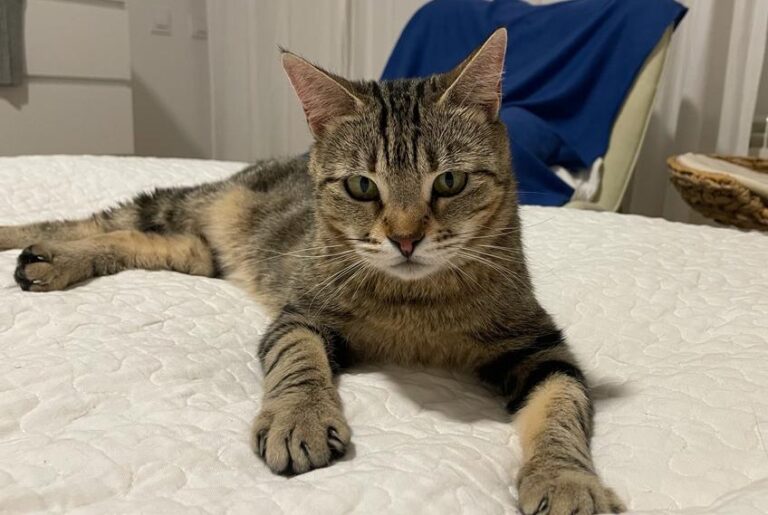 multimedia-foto82261-543-1