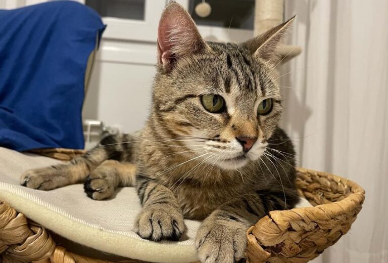 multimedia-foto82263-543-1