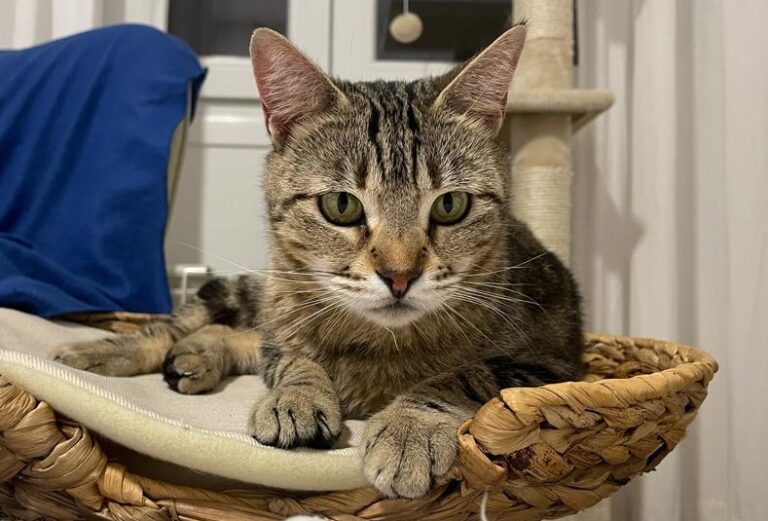 multimedia-foto82264-543-1