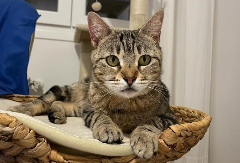 multimedia-foto82265-543-1