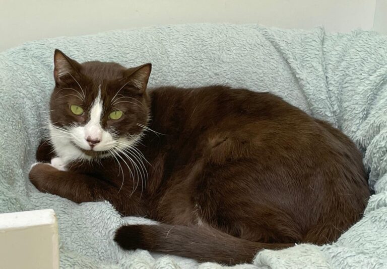 multimedia-foto82267-789-1