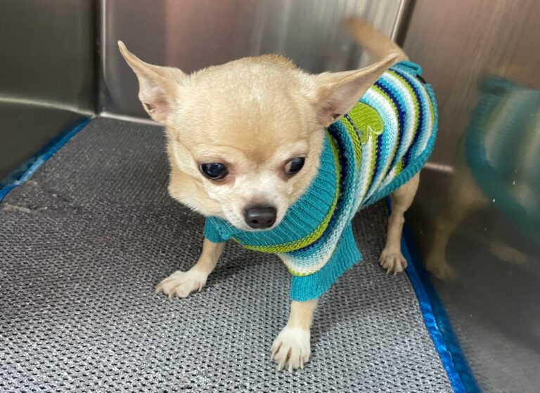 multimedia-foto82281-887-1