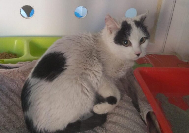 multimedia-foto82310-885-1