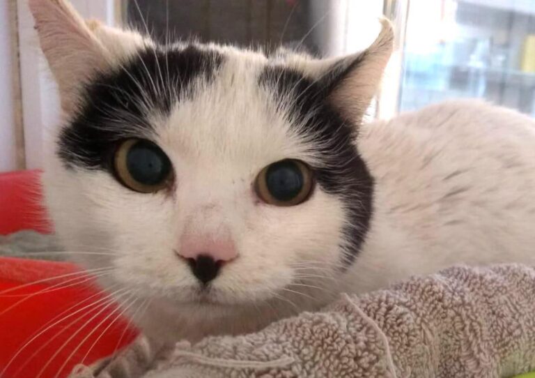 multimedia-foto82311-885-1