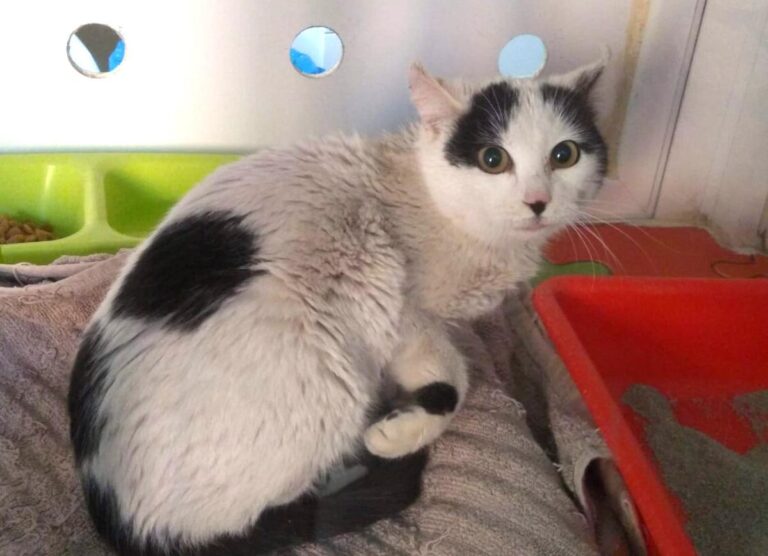 multimedia-foto82312-885-1