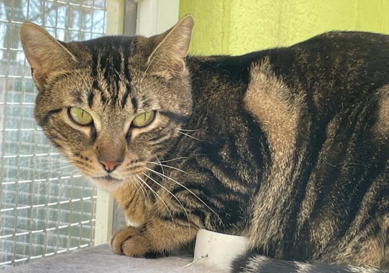 multimedia-foto82313-27-1