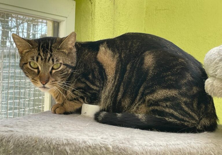 multimedia-foto82314-27-1