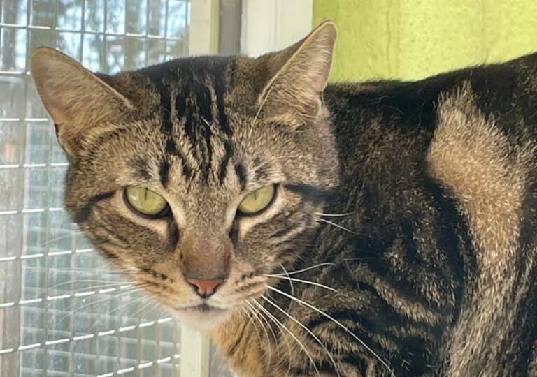 multimedia-foto82315-27-1