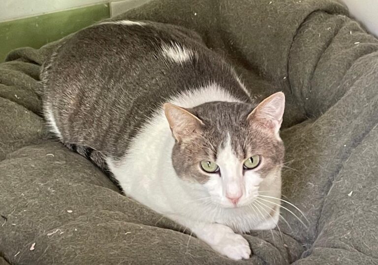 multimedia-foto82320-127-1