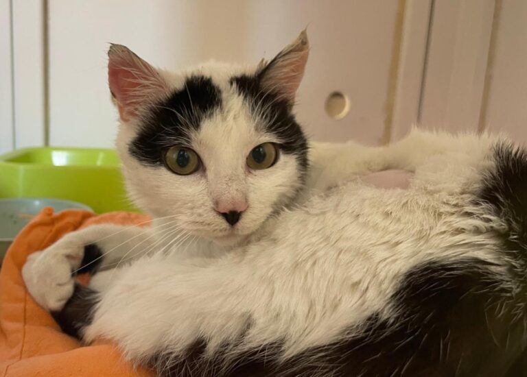 multimedia-foto82324-455-1