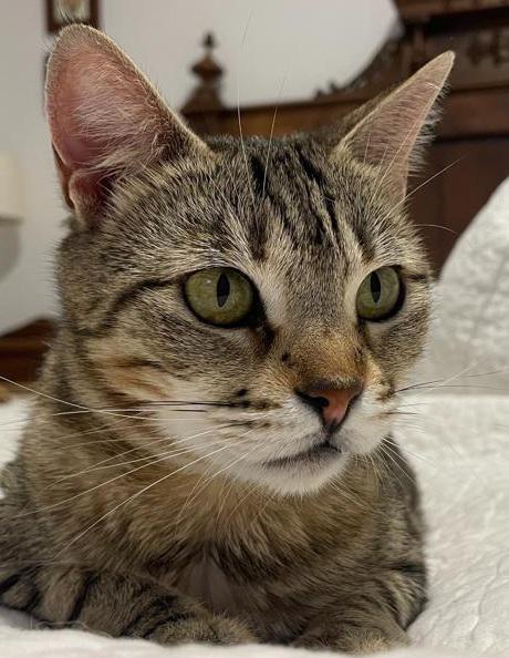 multimedia-foto82336-660-1