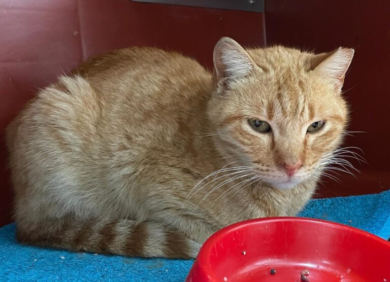 multimedia-foto82340-28-1